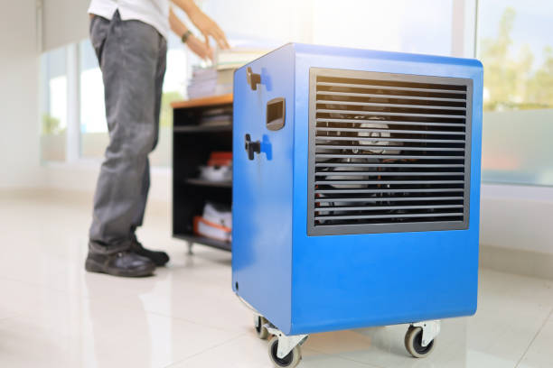 Best Black Mold Removal  in Las Campanas, NM