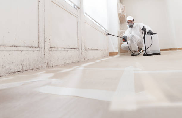 Best Crawl Space Mold Remediation  in Las Campanas, NM